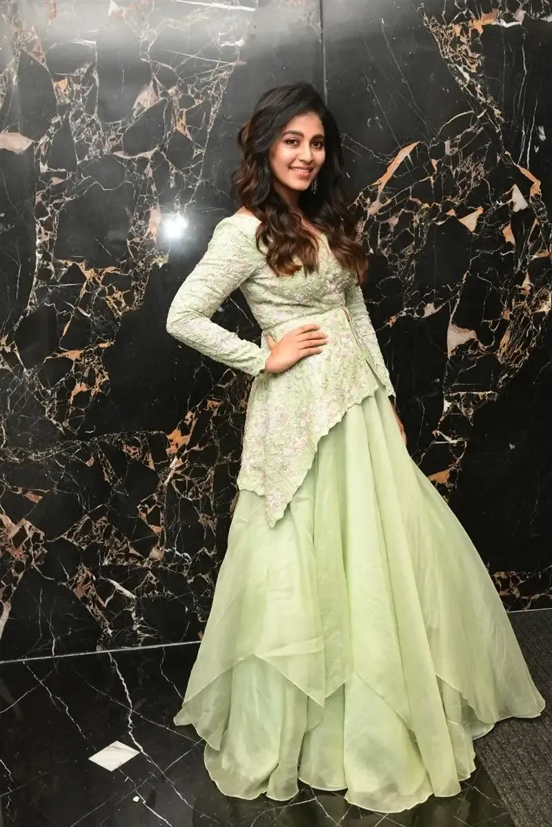 South Indian Actress Anjali Stills in Traditional Light Green Dress